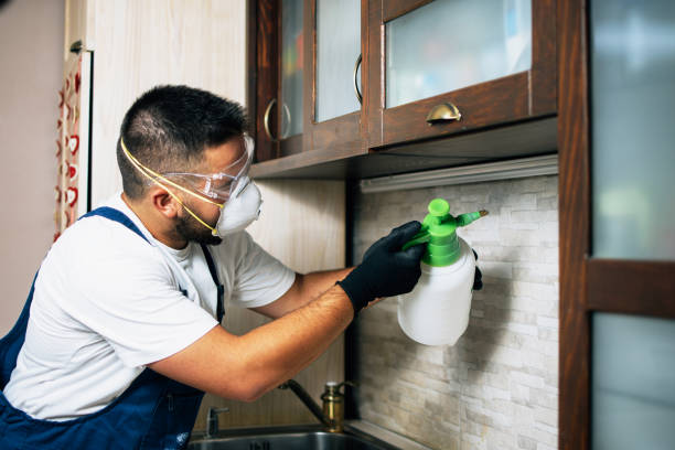 Best Emergency Pest Control  in Forest Hills, TN