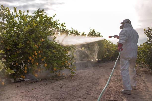 Best Wasp Removal Services  in Forest Hills, TN