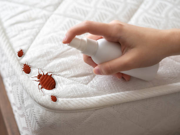 Best Flea Control Services  in Forest Hills, TN