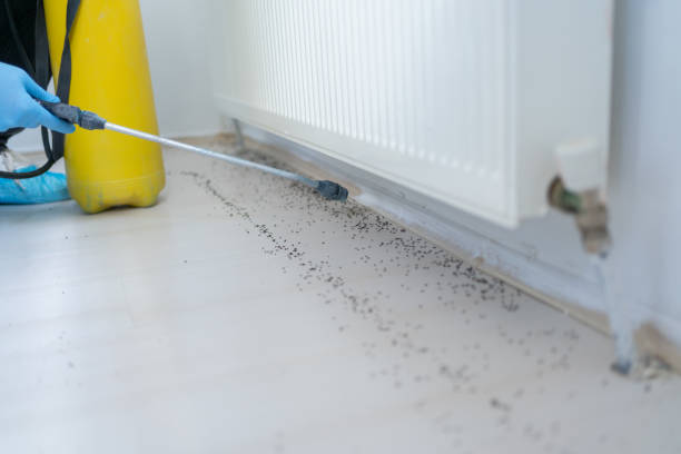 Best Residential Pest Control  in Forest Hills, TN