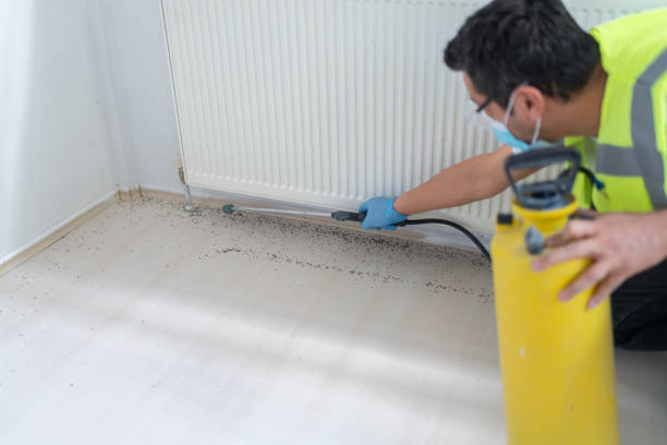 Best Pest Prevention Services  in Forest Hills, TN