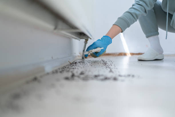 Wildlife Control Services in Forest Hills, TN