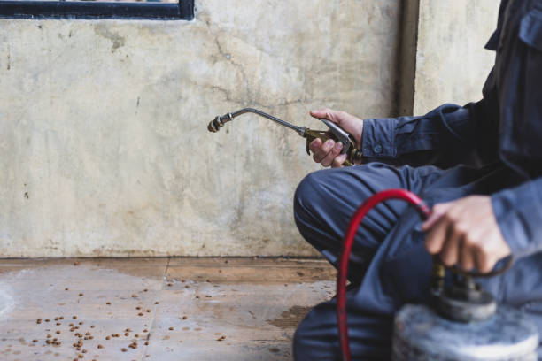 Best Wasp Removal Services  in Forest Hills, TN